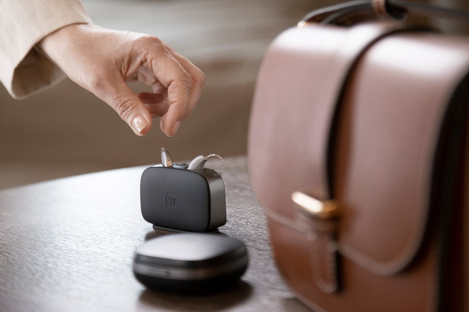 Şarj Edilebilir Modeller